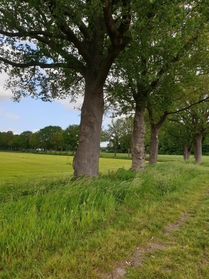 B&B Het Gelders Buitenleven Overasselt Esterno foto