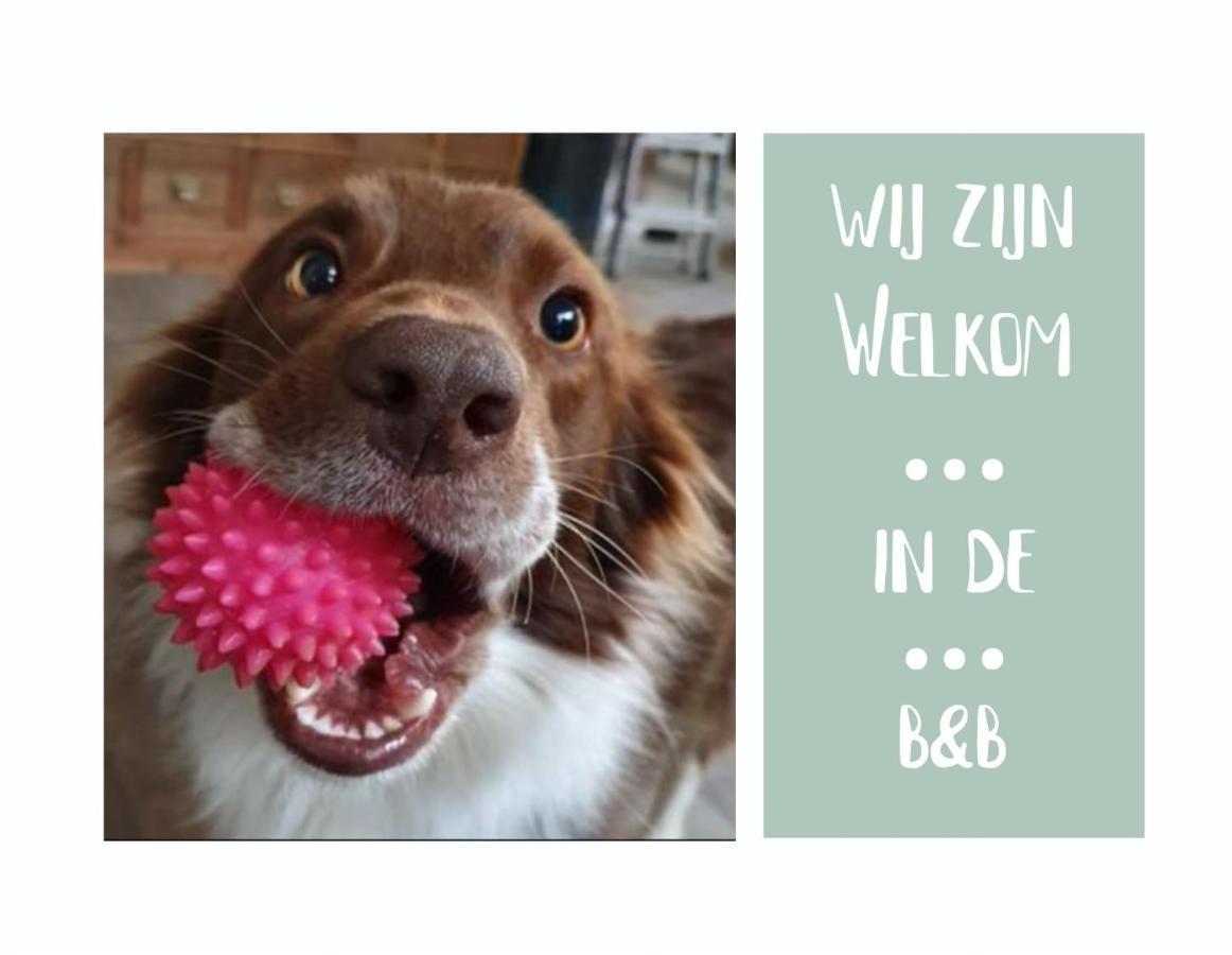 B&B Het Gelders Buitenleven Overasselt Esterno foto