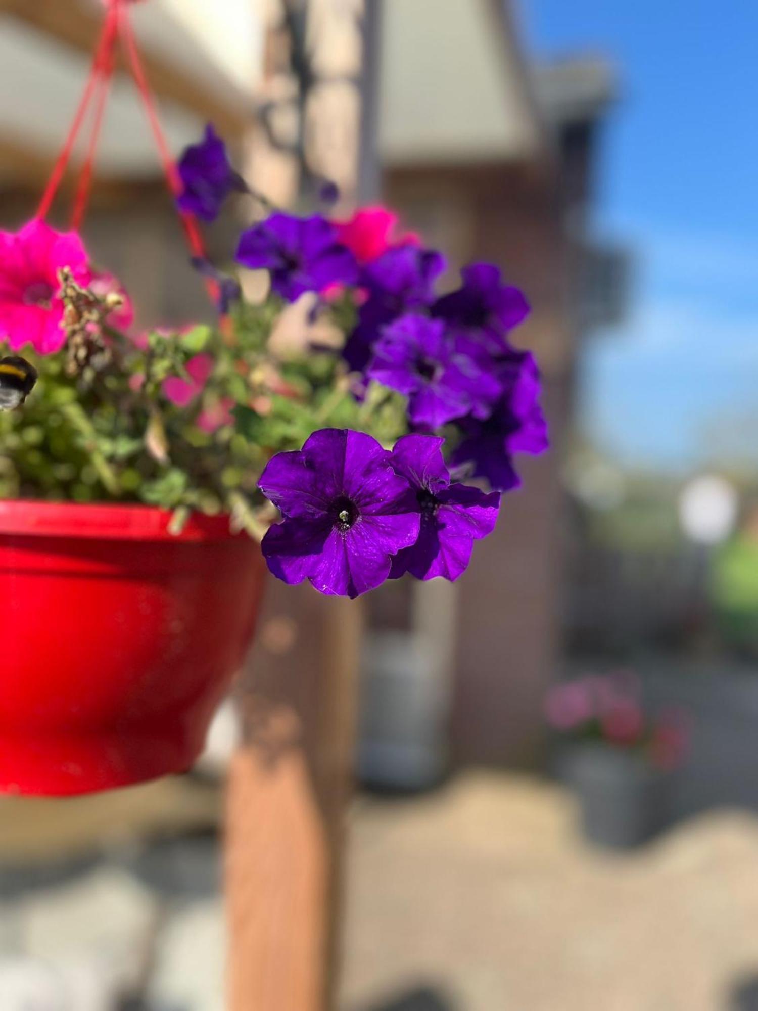 B&B Het Gelders Buitenleven Overasselt Esterno foto
