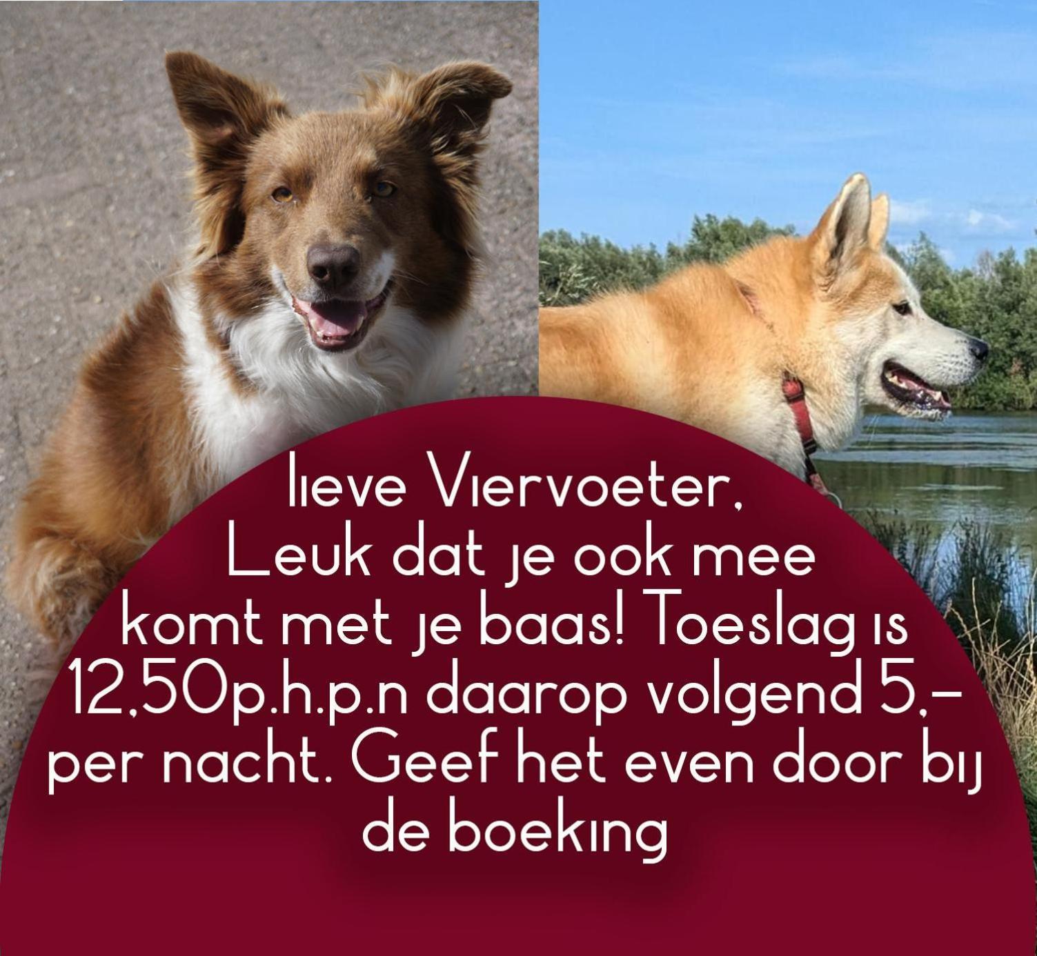 B&B Het Gelders Buitenleven Overasselt Esterno foto